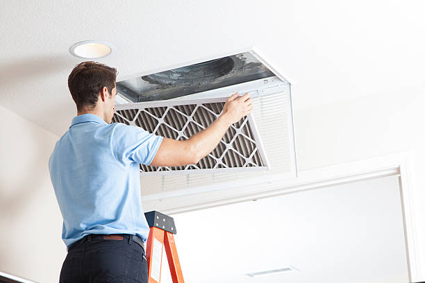 Best Local HVAC companies  in Charlotte, MI